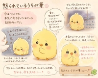 5月25日