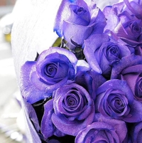 🪻✉️御礼日記✉️🪻