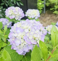 明日から2日間よろしくお願いします??♀???