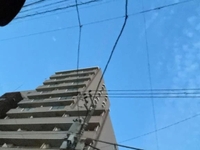 申し訳ございません🙇‍♀️