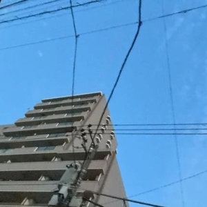 申し訳ございません🙇‍♀️