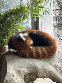明日出勤します🫶