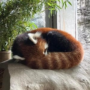 明日出勤します🫶