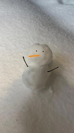 🤍雪との対戦🤍