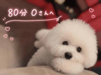 🧸💌本指名80分Oさん