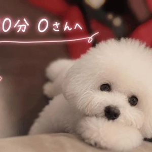 🧸💌本指名80分Oさん