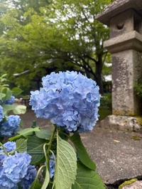おはようございます🌱
