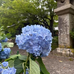 おはようございます🌱