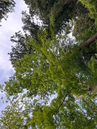 ごめんなさい🙏