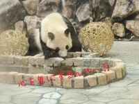 捨て活したいのに捨てられない