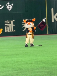 おねがい🪄