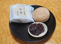ｺﾝﾊﾞﾝﾜ *´꒳​`*)ﾉ♡