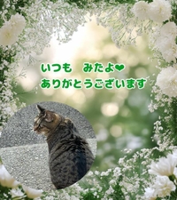 みたよ／シフト