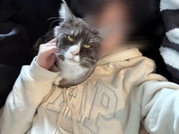 🩶次回ご予定🩶