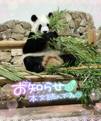 ?大切なお知らせ?