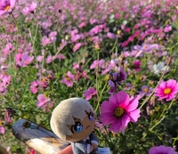 毒🍄可愛い♡＆セクシー🫦クール