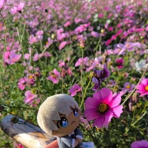 毒🍄可愛い♡＆セクシー🫦クール