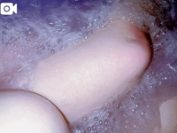 年末年始の営業時間は、、( 'ω')?