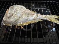 🐟