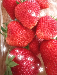 完売ありがとうございます！