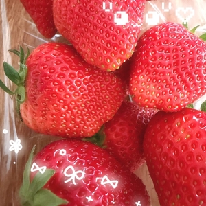 完売ありがとうございます！