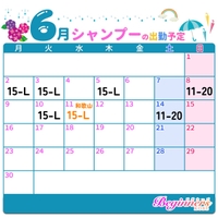 ♡ 6月前半の出勤予定 🐌 ♡