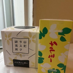 こんにちは(*´꒳`*)
