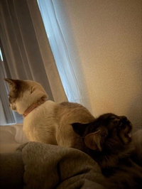 私の趣味の夢👈