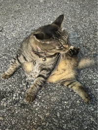 みたよ／シフト