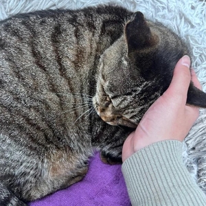 今日もありがとう💕