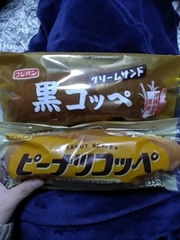 おはようございます٩(*´꒳`*)۶