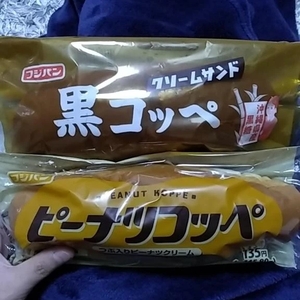 おはようございます٩(*´꒳`*)۶