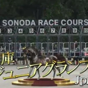 🐴　園田競馬　🐴