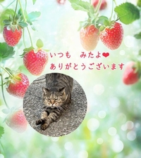 みたよ／シフト