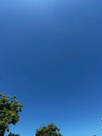 ‎🤍おはよう‎🤍