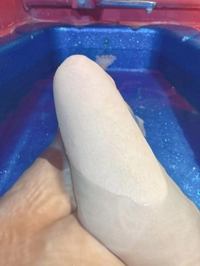 みらいのいいとこ