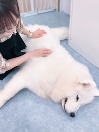 どうしよっかな