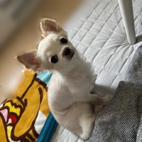 おはー(」・ω・)