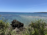 沖縄満喫してきたよー(✌'ω' ✌)