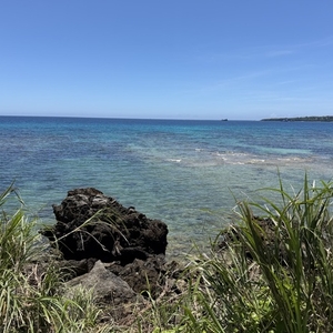 沖縄満喫してきたよー(✌'ω' ✌)