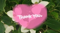 今日のありがとう♡