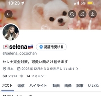 【凍結ヲンナ】セレナ🇷🇺