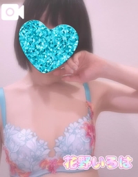 💙明日出勤🐹