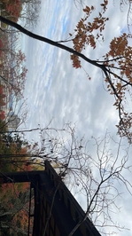 今日も今日とて