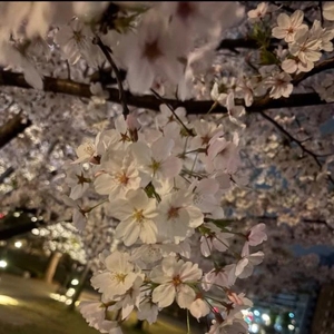 オフの日🌸