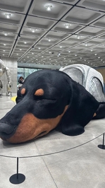 もうそんな時期？