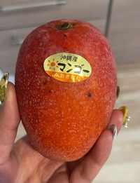 完熟マン〇ー🥭