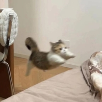 ⚠️⚠️明日キャンセル発生⚠️⚠️