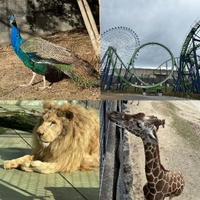 お出かけ🚗 ³₃