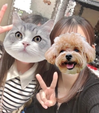 問題だれでしょぉー？